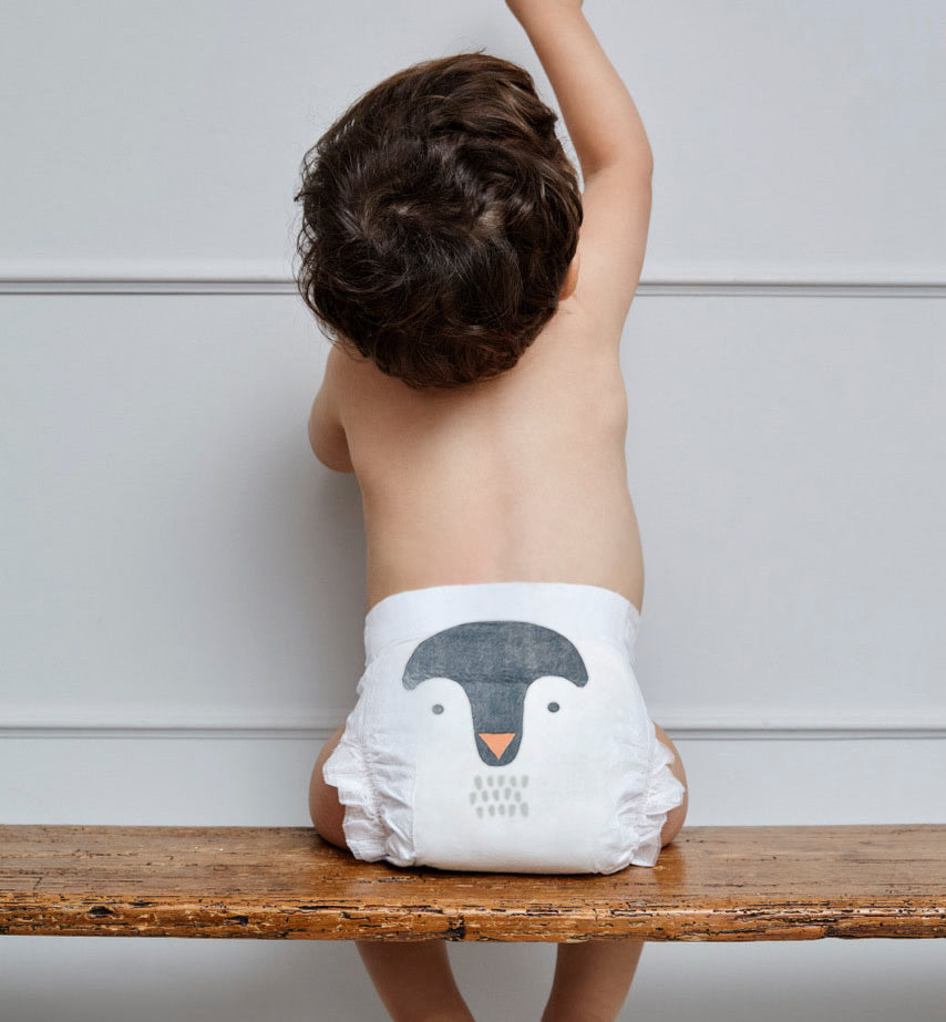 Sustainable penguin nappies